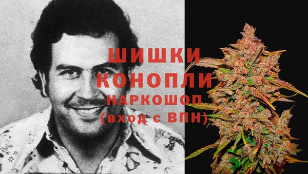 бутират Инсар
