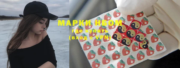 прущие грибы Белоозёрский