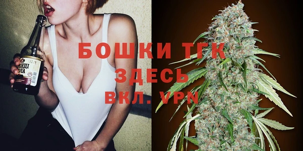 прущие грибы Белоозёрский