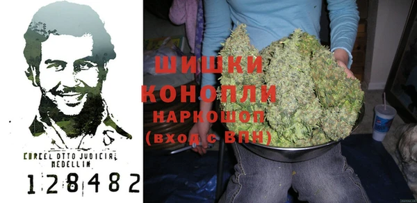 прущие грибы Белоозёрский