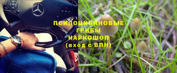 прущие грибы Белоозёрский
